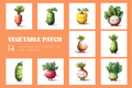 Vegetable Patch
