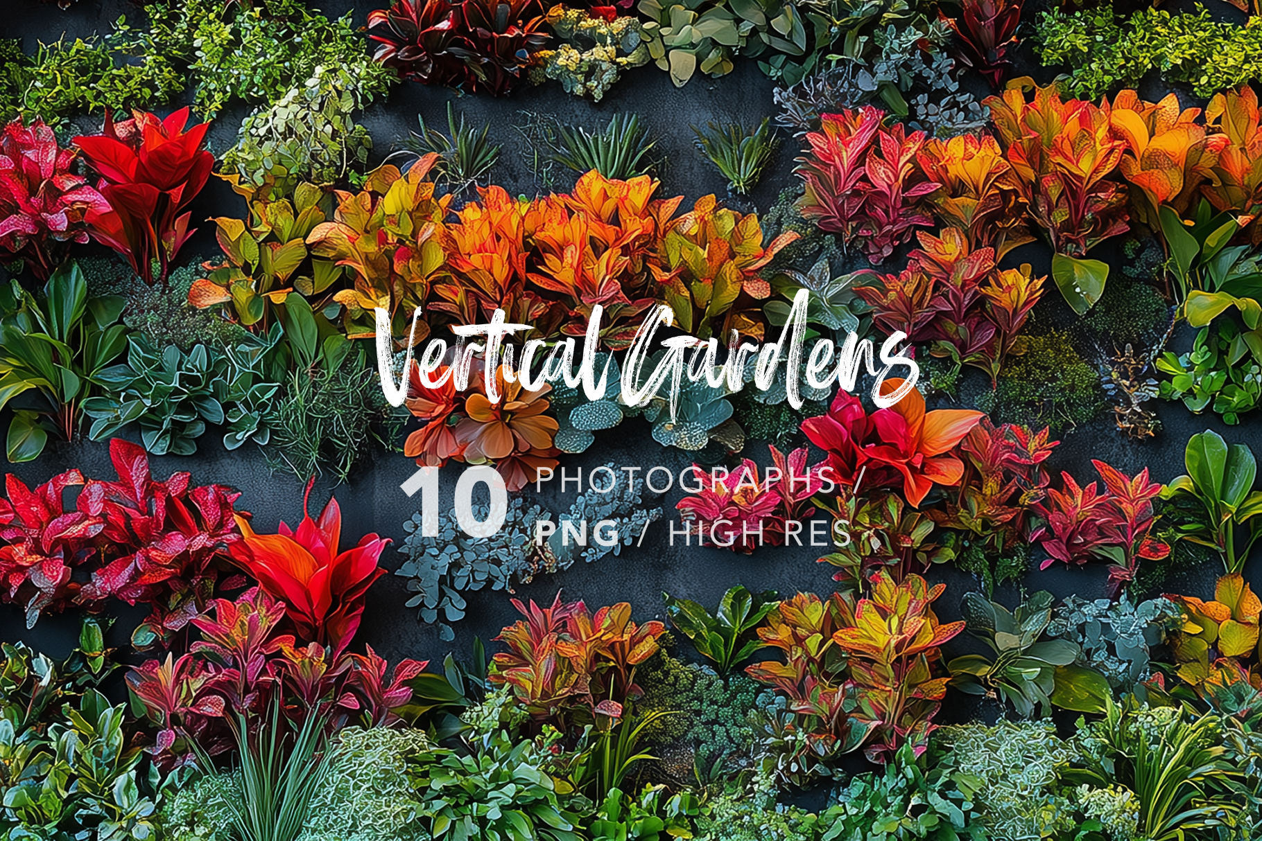 vertical gardens