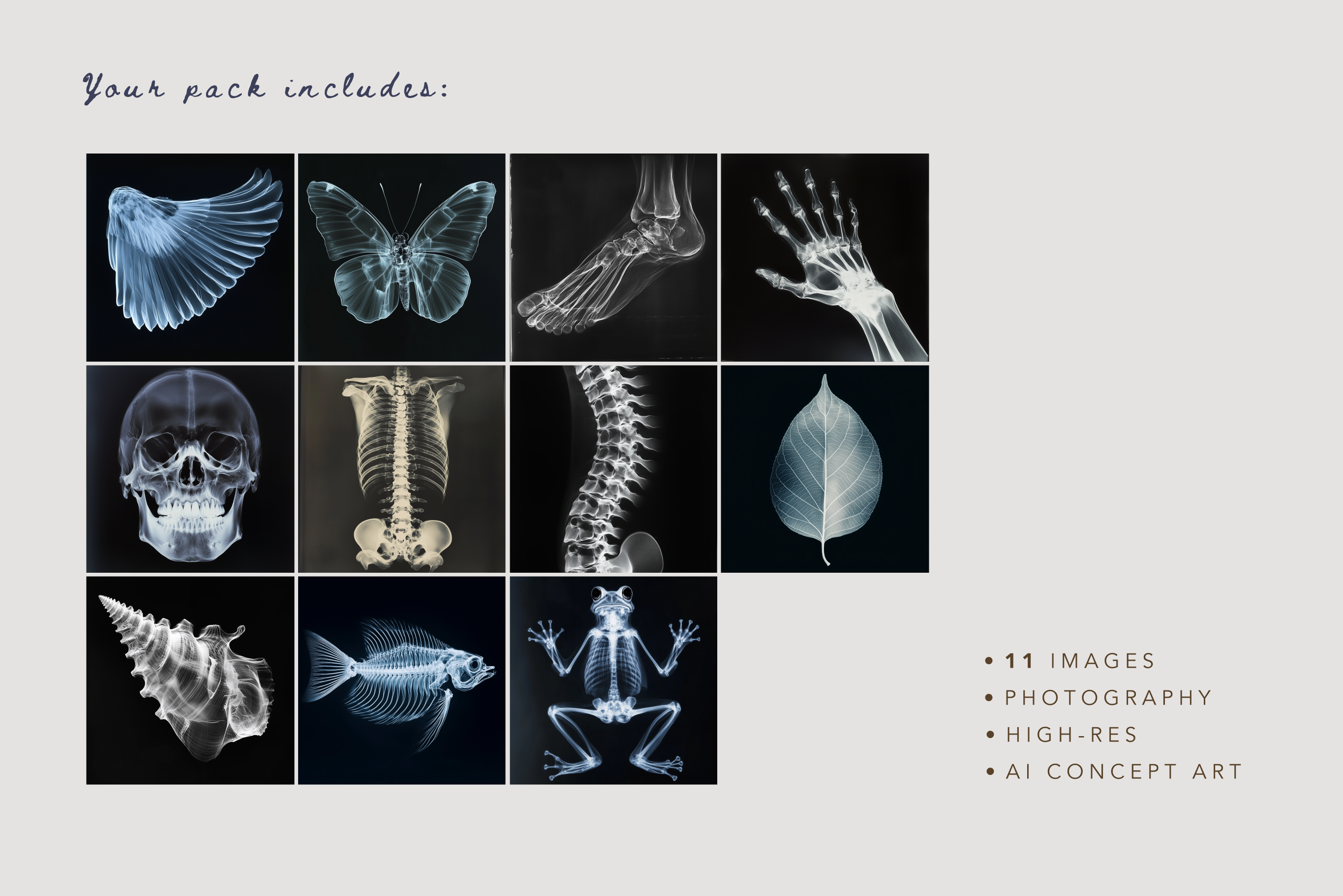 X-Ray Explorations