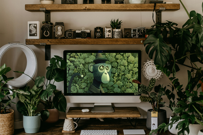 Computer monitor with a monkey on screen in a room with plants and shelves.